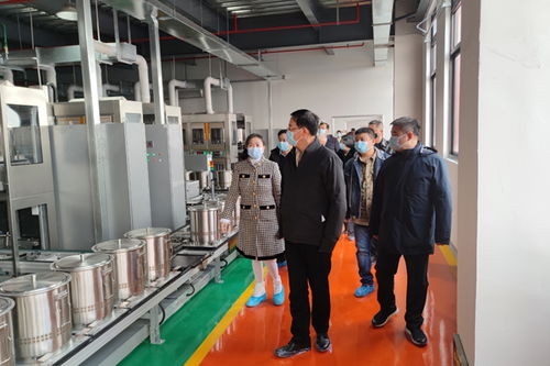 張恩迪率隊赴同祺醫(yī)藥科技走訪調(diào)研