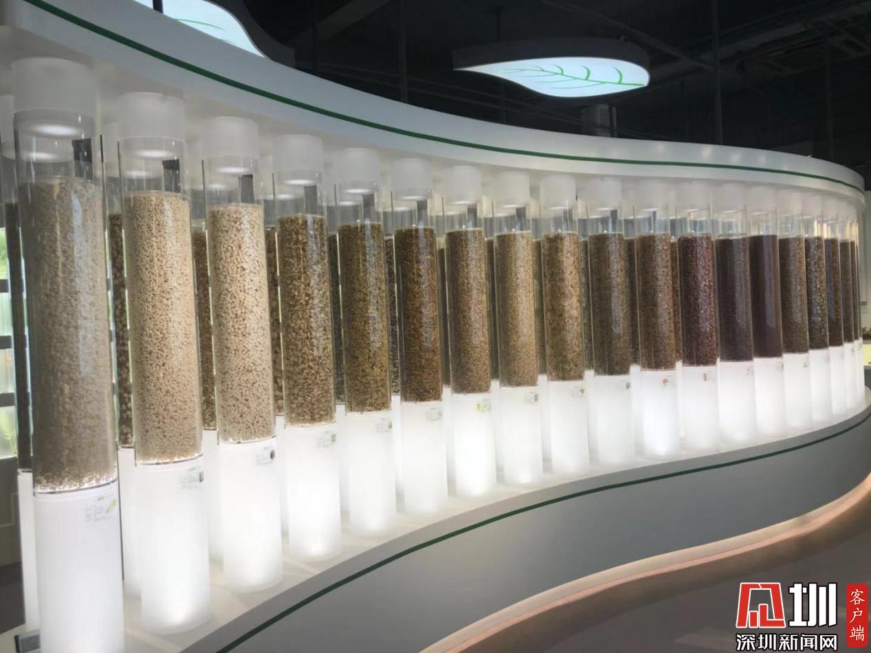 而今邁步從頭越！國家藥監局兩重點實驗室落戶深圳，醫藥科技迎來新機遇