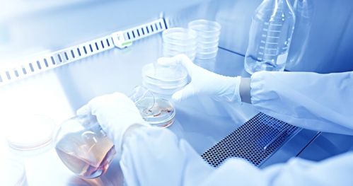 吉雷新材料 以“材”賦能，勇做新材料技術(shù)研發(fā)領(lǐng)域的創(chuàng)新者